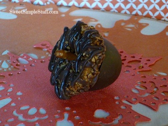 acorn samoa chocolate