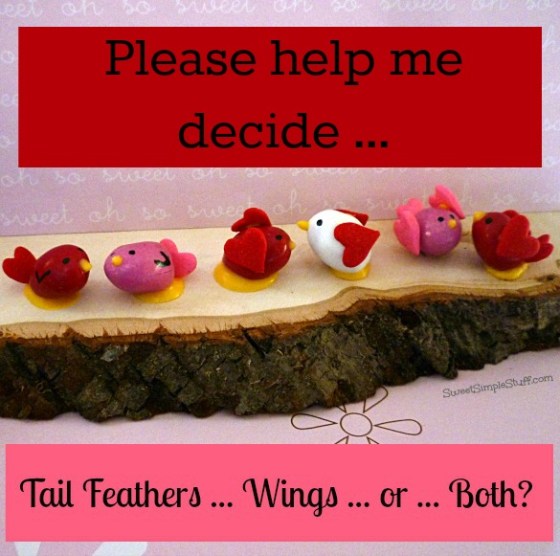 P1030559 Tail Feathers, wings or both