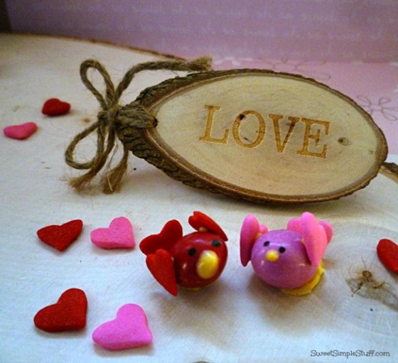 P1030564 M&M Valentine birds