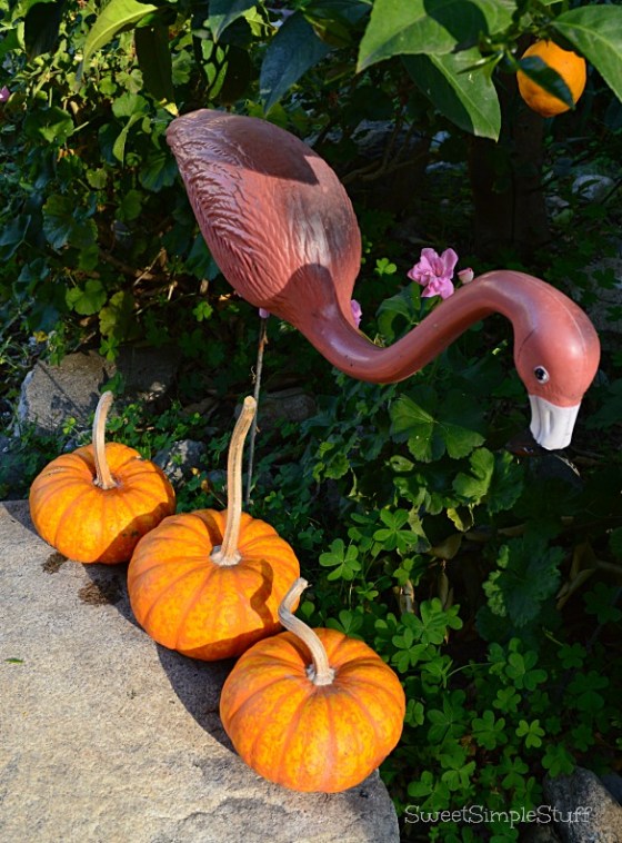 Pink Flamingo and pumpkins by SweetSimpleStuff